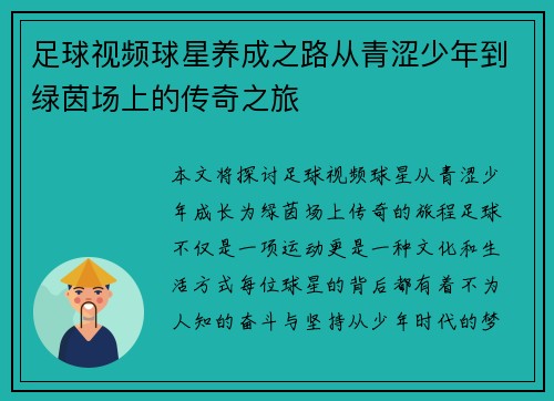 足球视频球星养成之路从青涩少年到绿茵场上的传奇之旅